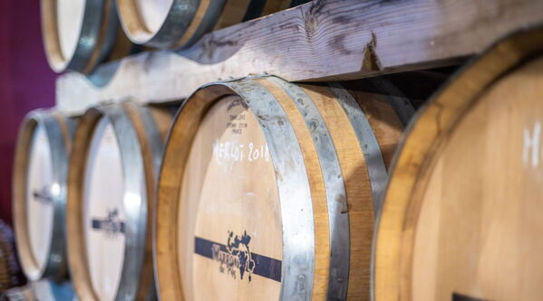 Chai de vinification du domaine viticole familial en Sud Ardèche